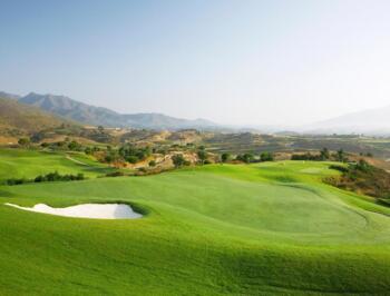 Golf News