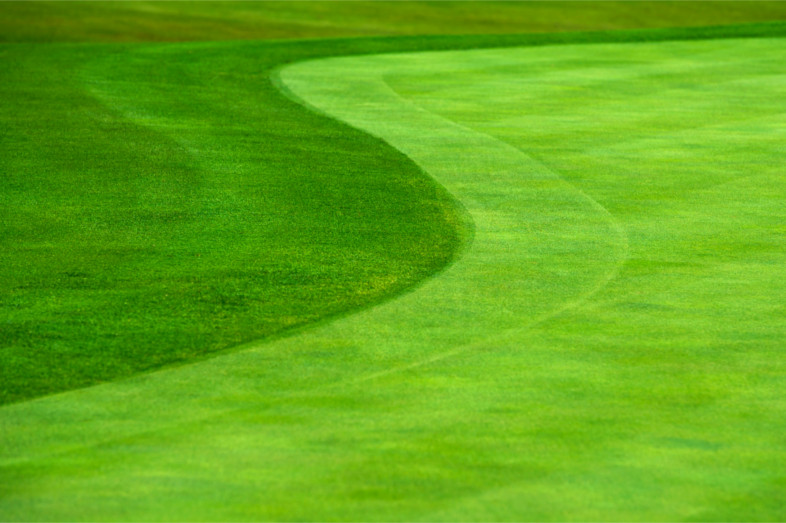 Geschwungene Linie auf Golfplatz