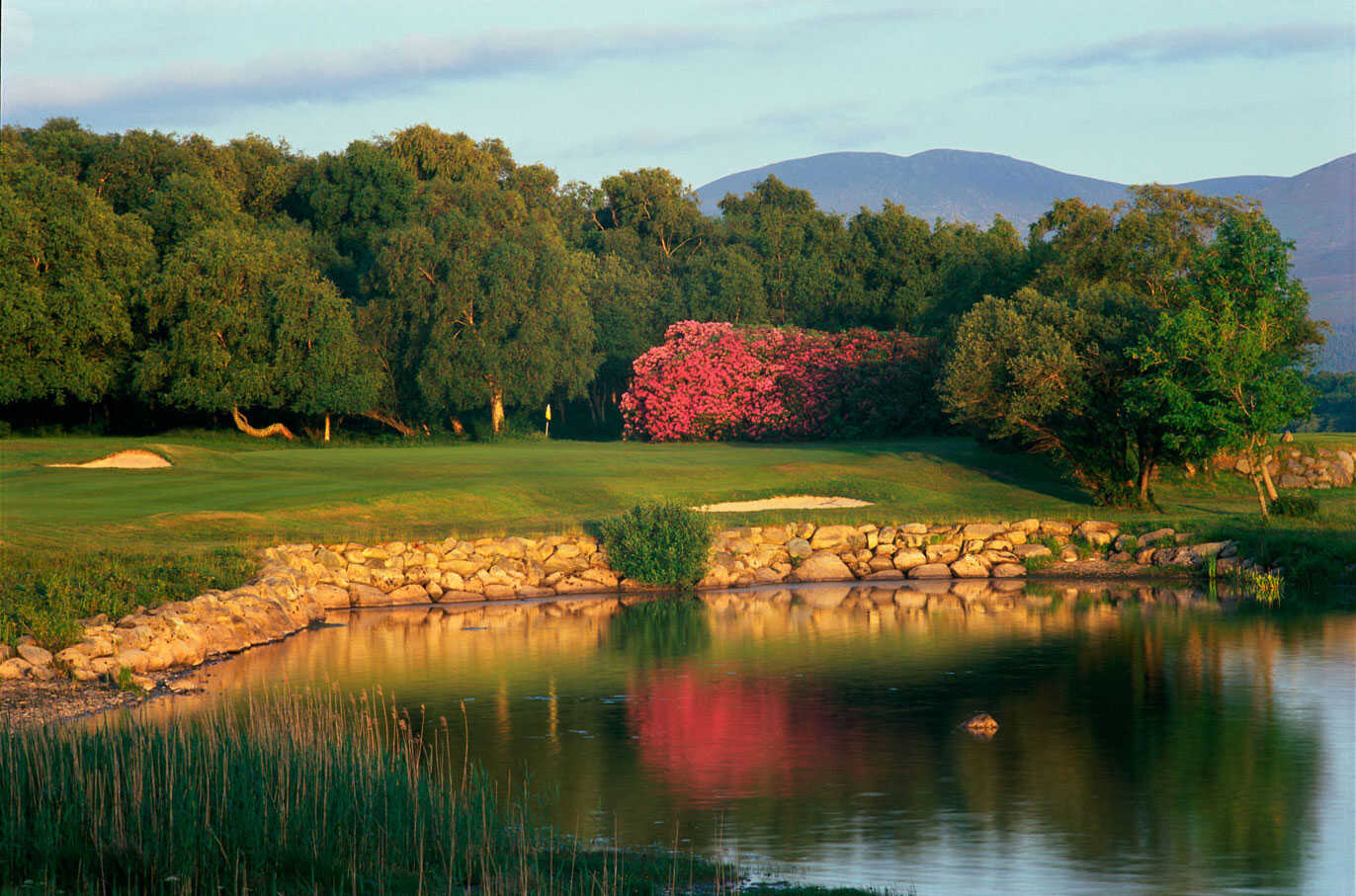 Golfplatz