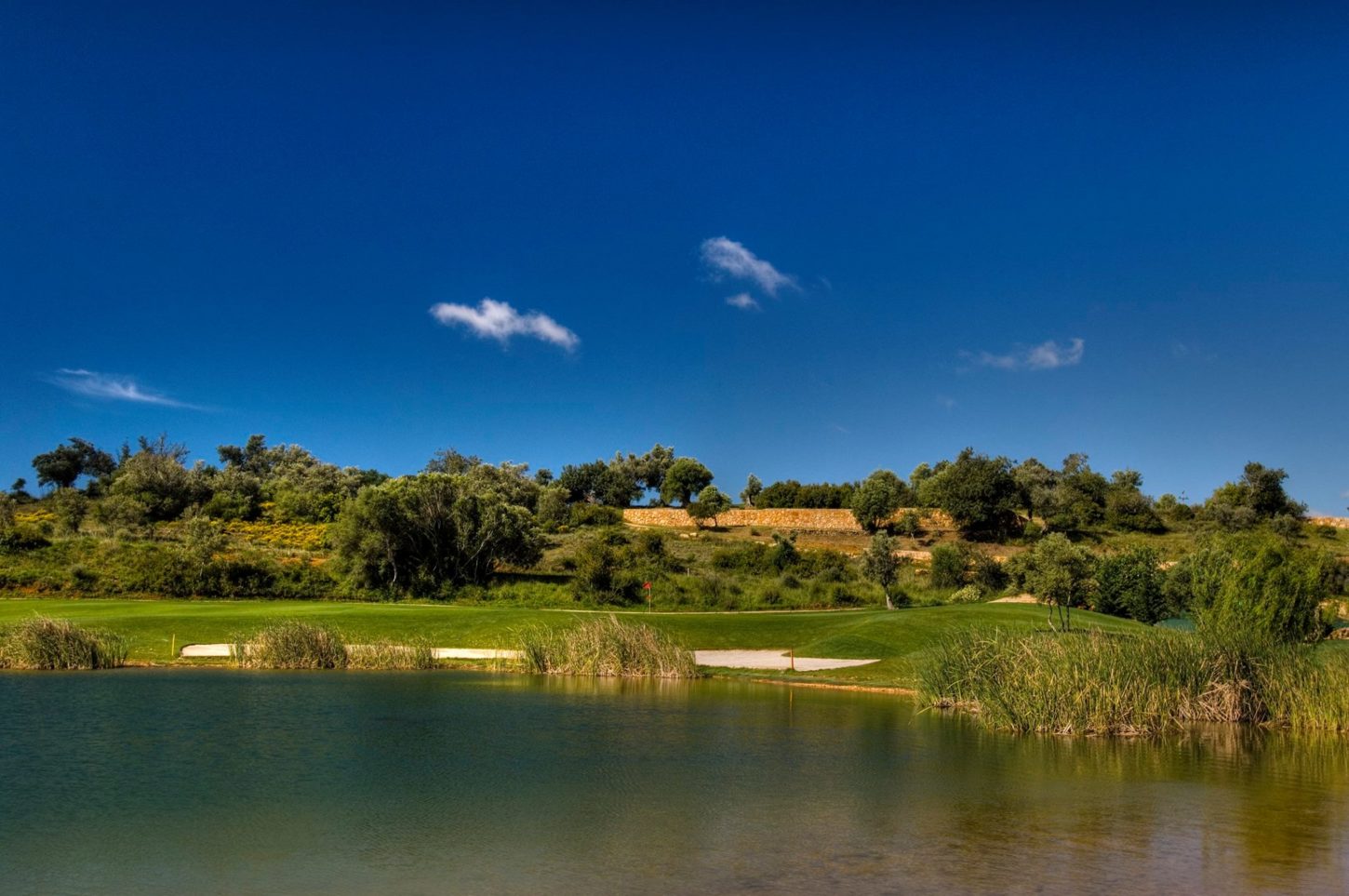 Golfplatz Pestana Alto Golf 5642