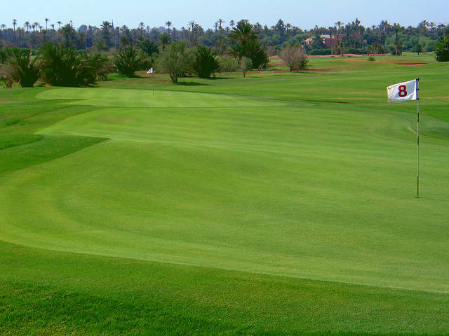 Golfplatz Golf Club Rotana -Palmeraie Golf 825