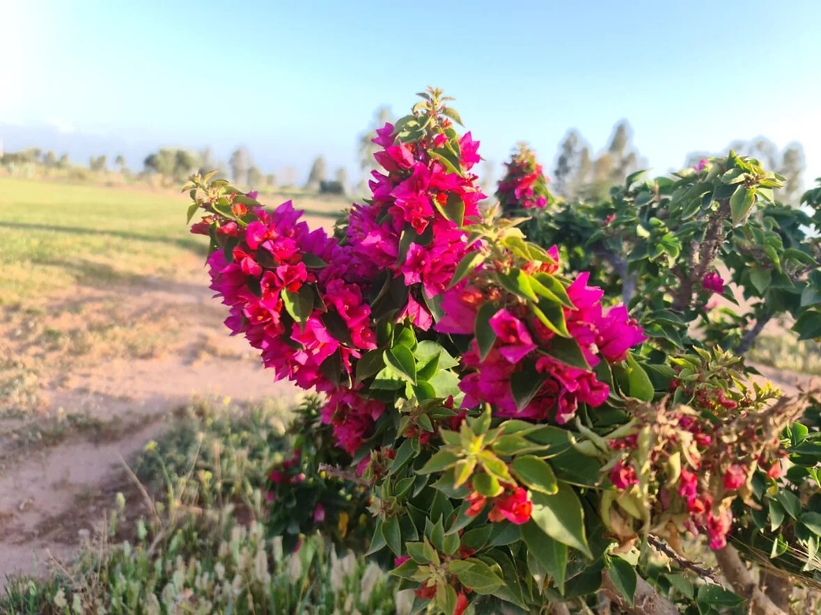 Golfplatz