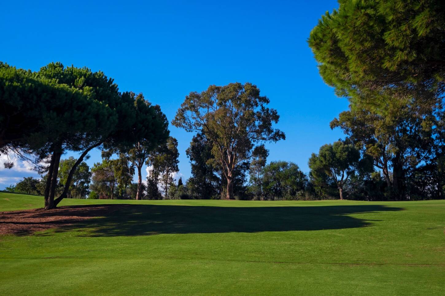 Golfplatz Almenara