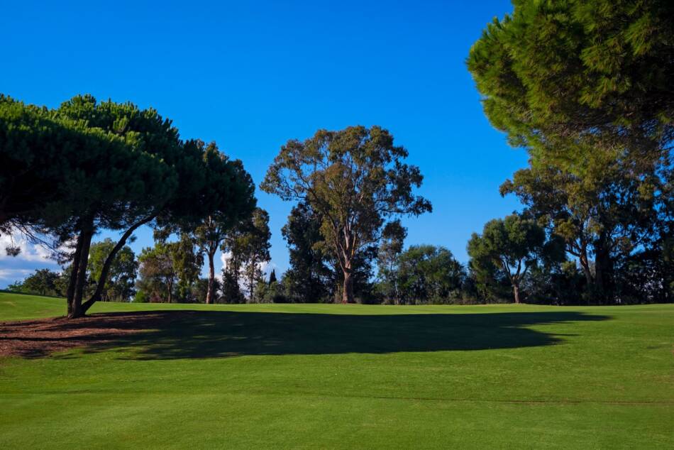 Golfplatz Almenara