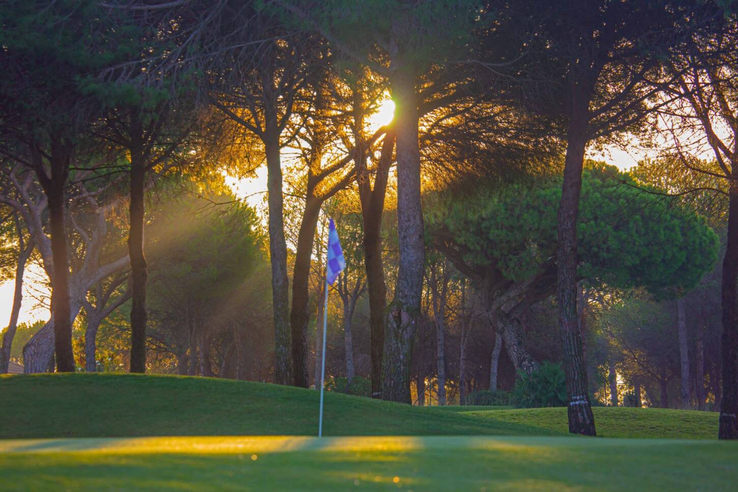 Golfplatz Club de Golf Bellavista 3773