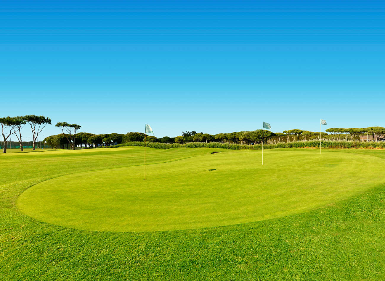 Golfplatz Real Novo Sancti Petri Golf 1091