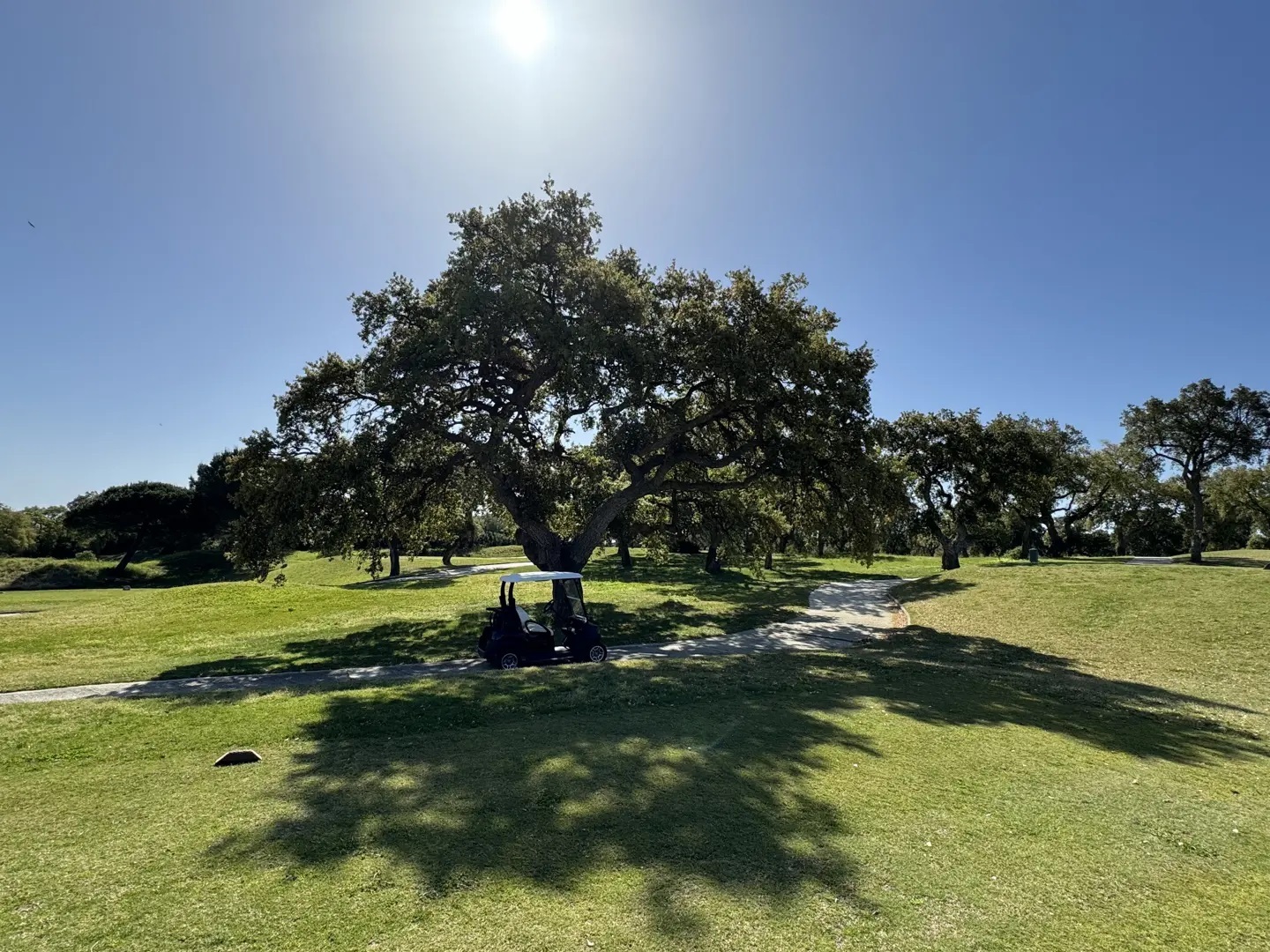 Golfplatzansicht