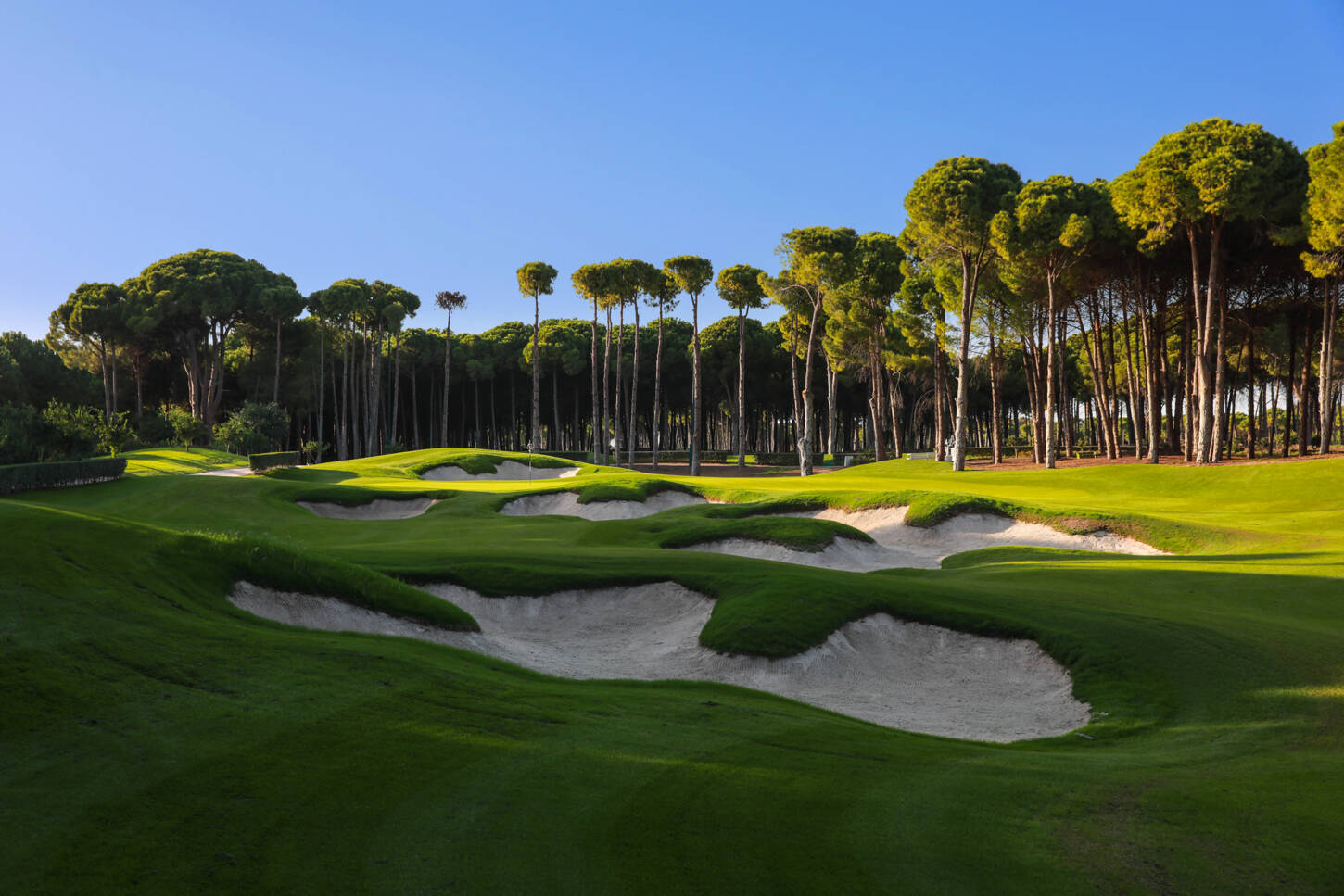 Golfplatz Carya Golf Club 3067