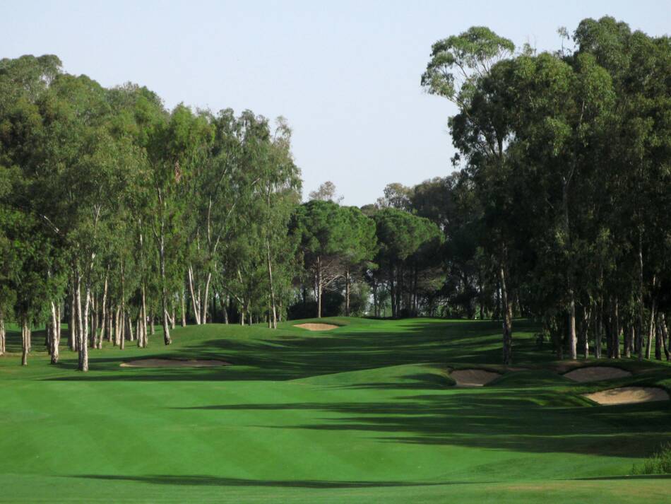 Golfplatz Pasha Golf Course 3146