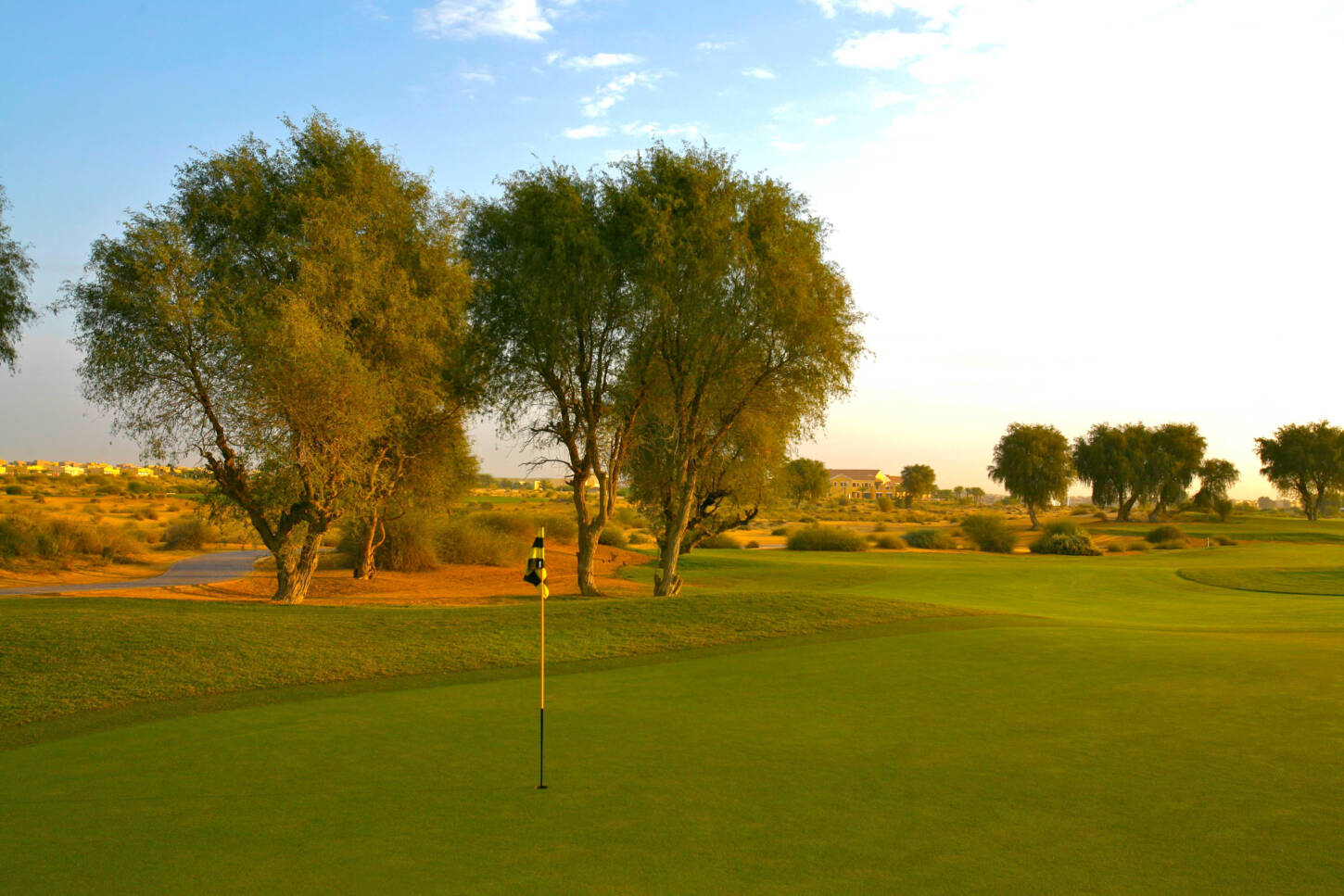 Golfplatz Arabian Ranches Golf Club 3614