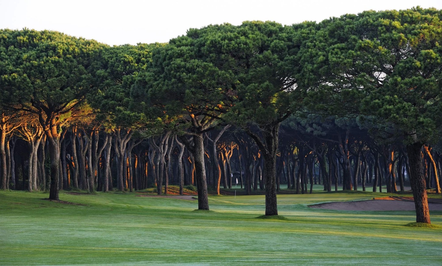 Golfplatz