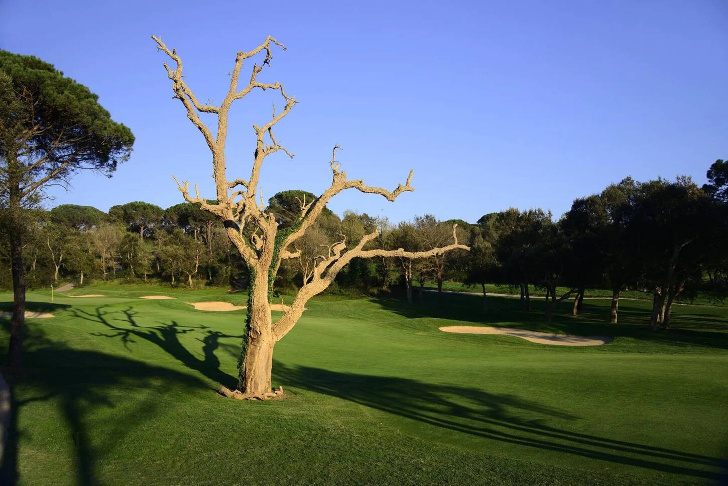Golfplatz PGA Golf de Catalunya-Stadium Course 4610