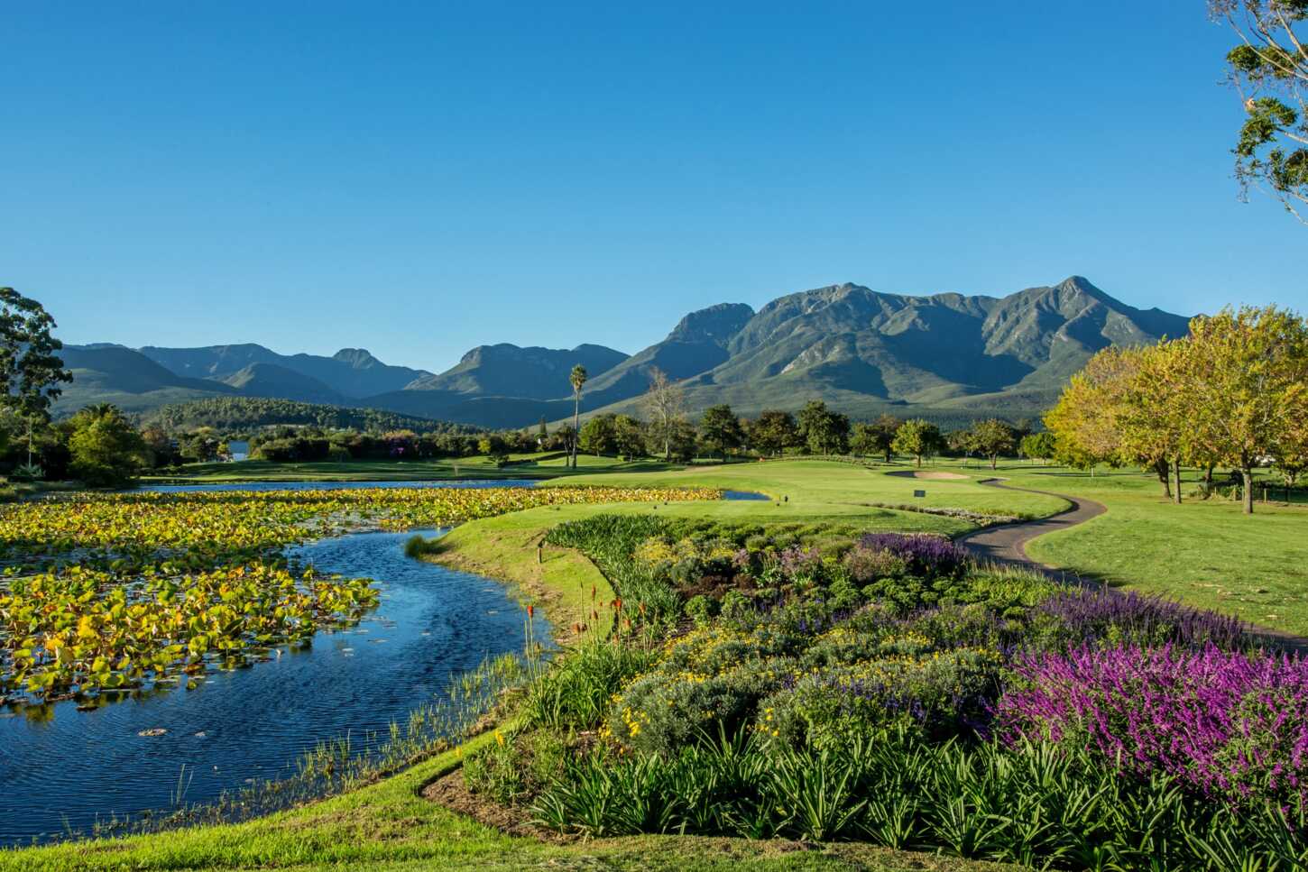 Golfplatz Fancourt - Outeniqua Course 3347