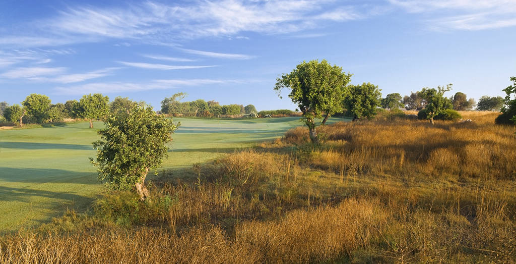 Golfplatz Donnafugata Parkland Signature Course 1739