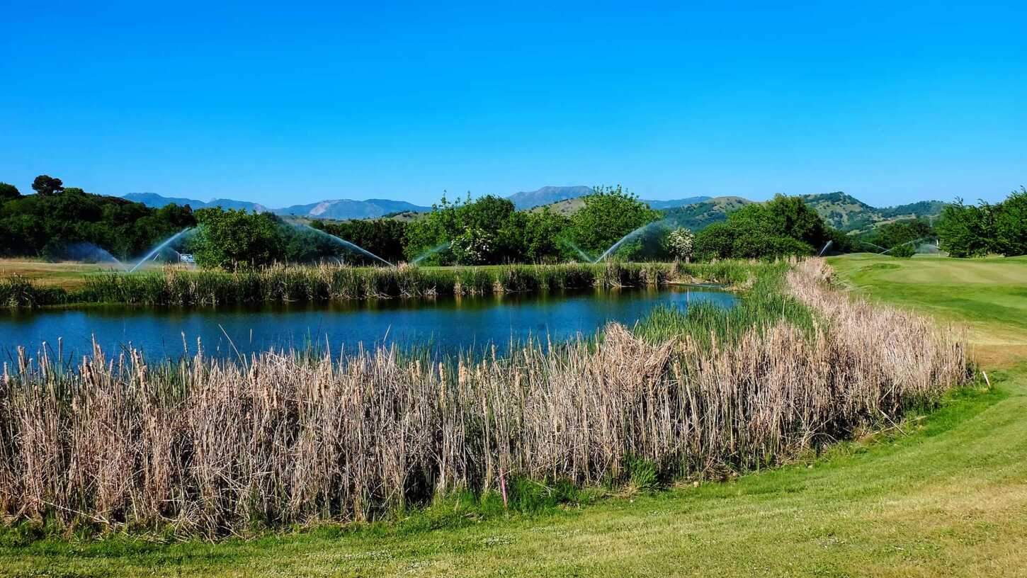 Golfplatz Il Sicilia’s Picciolo Etna Golf 4094