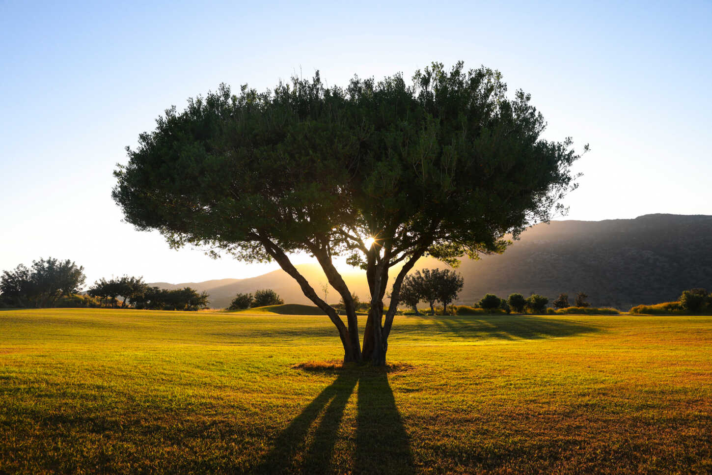 Golfplatz The Crete Golf Club 3855