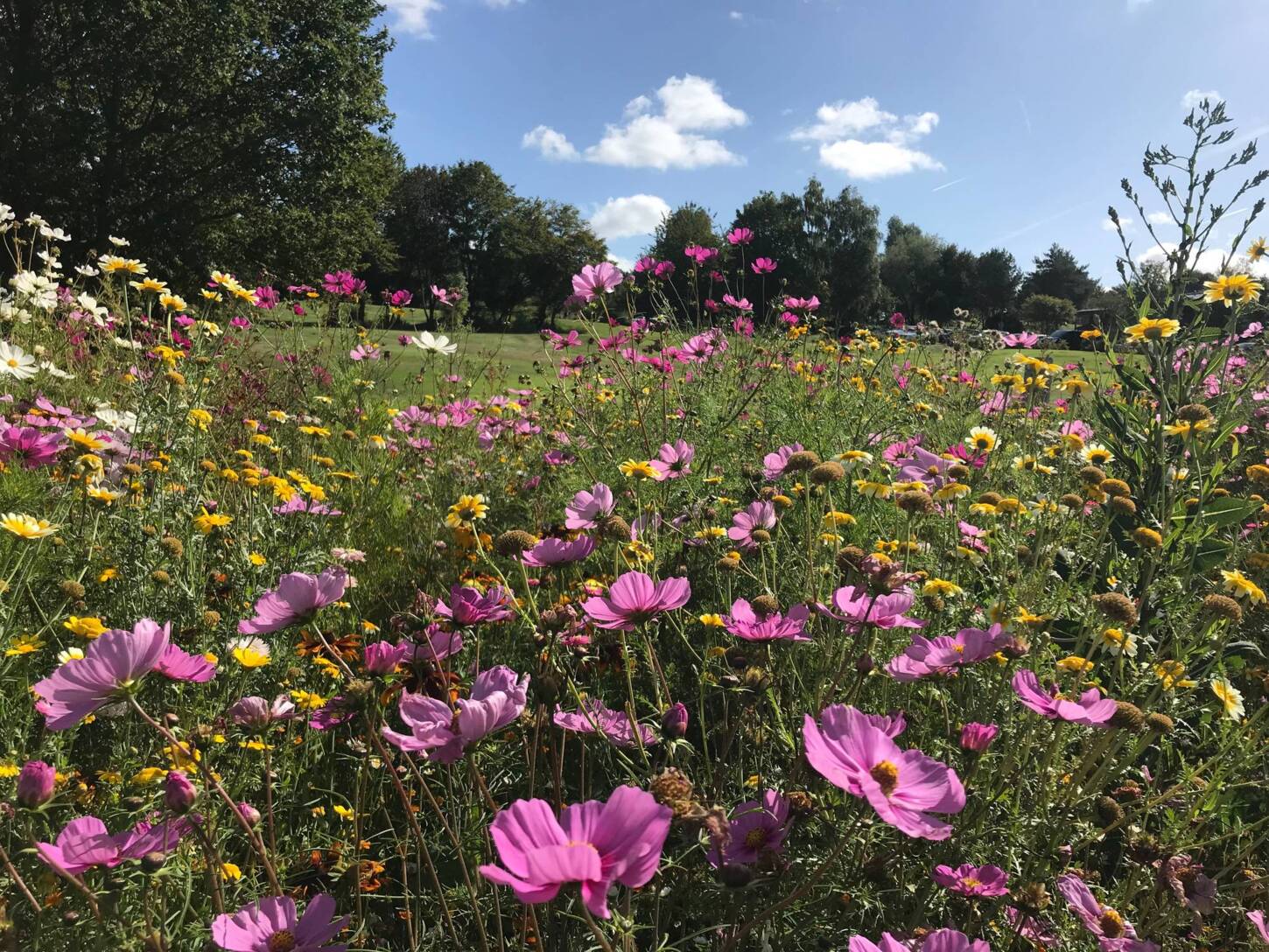 Golf und Natur