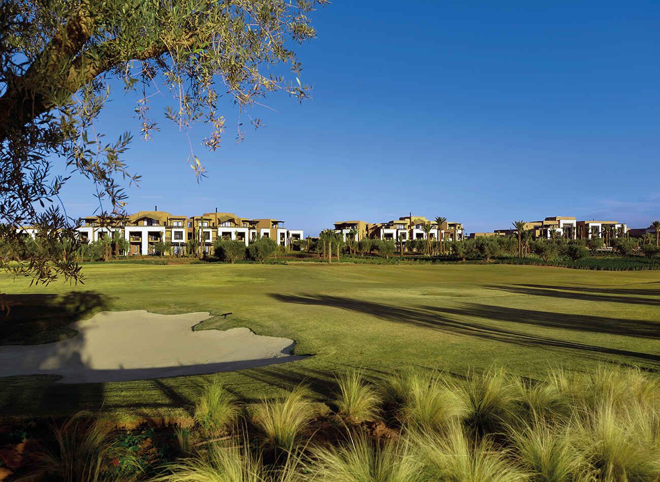 Golfplatz Fairmont Royal Palm Golf  2024