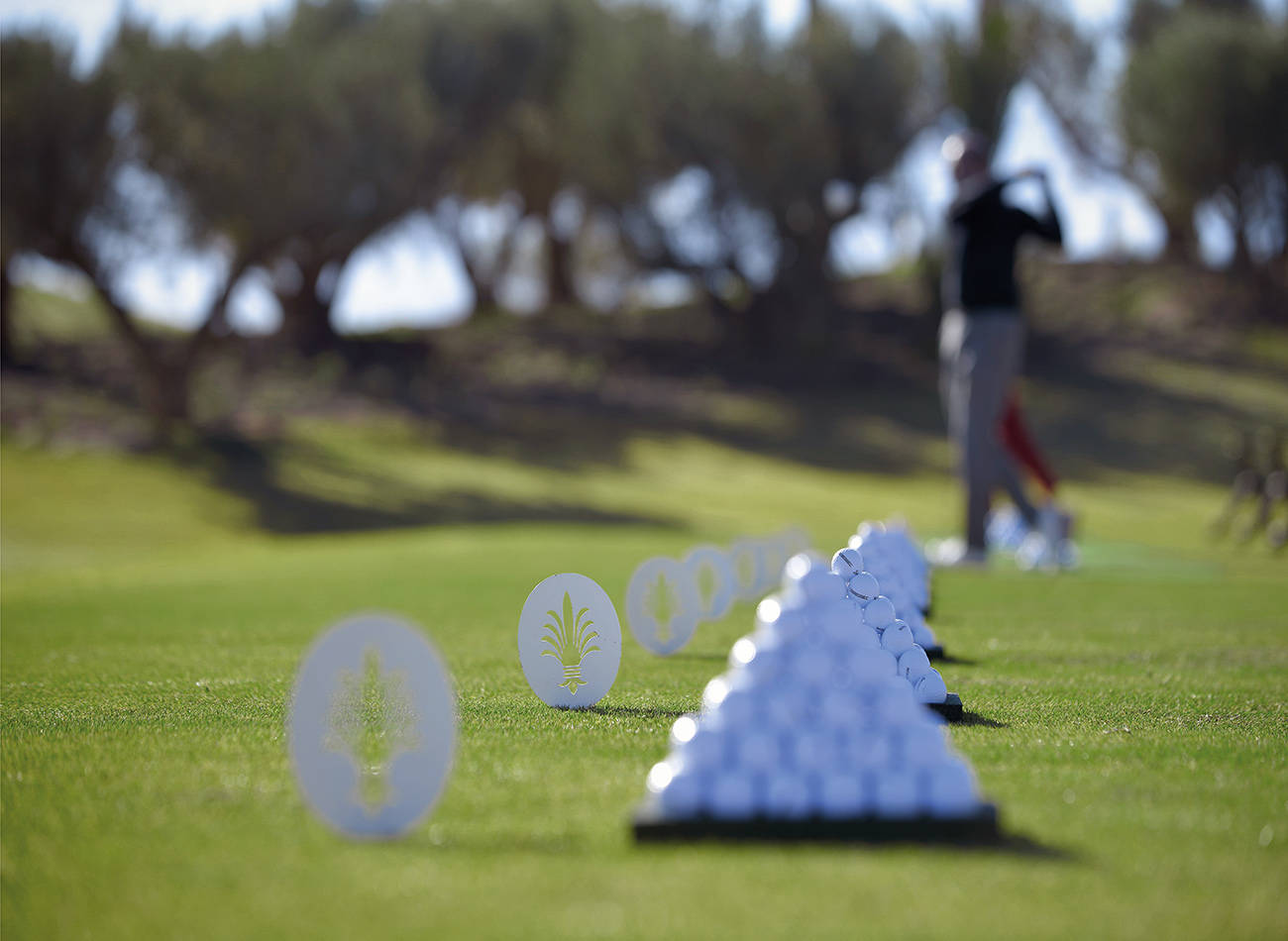 Golf Academy