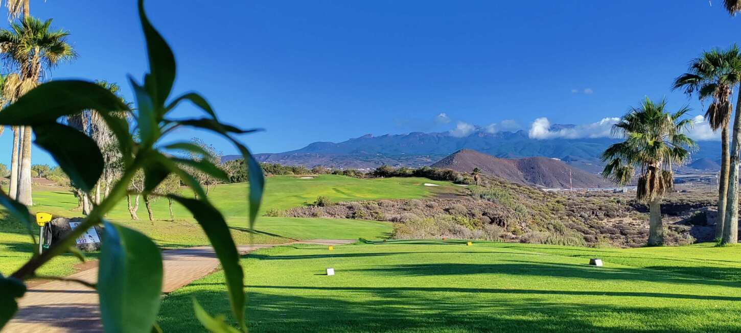 Tee 4