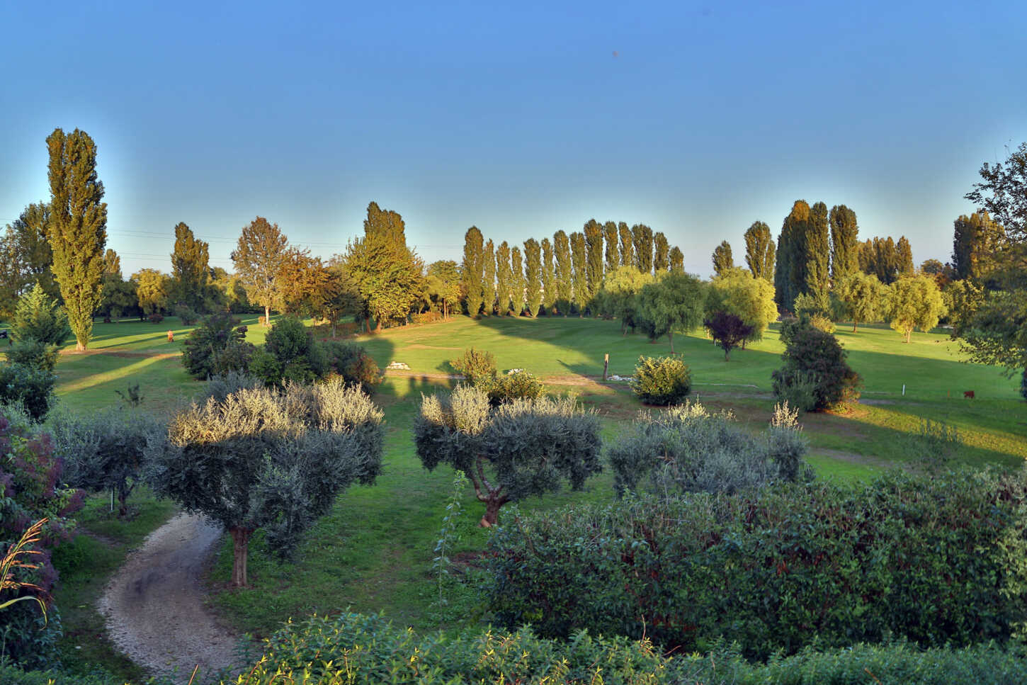 Golfplatz Golf Club Le Vigne Villafranca 2140