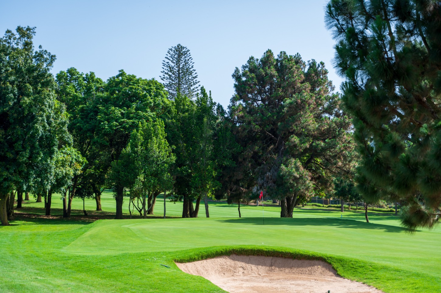 Golfplatz Real Club de Golf Tenerife 10083