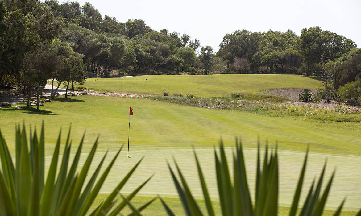 Golfplatz