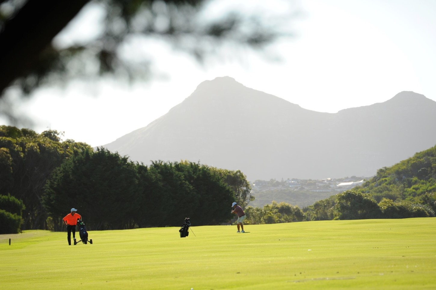 Golfplatz Clovelly Country Club 5580