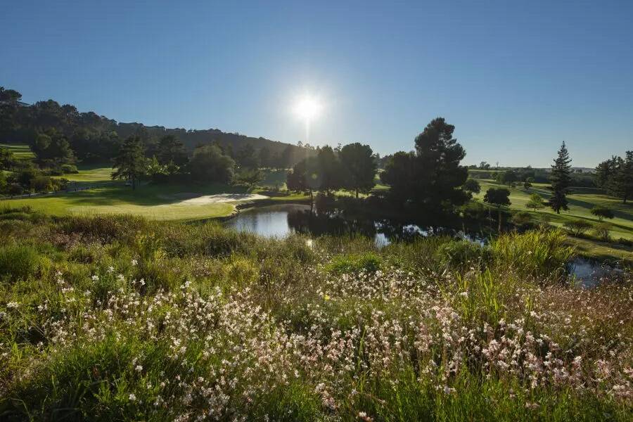 Golfplatz Simola Golf & Country Estate - The Jack Nicklaus Signature Golf Course 3441