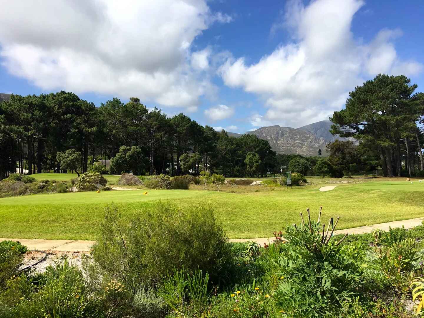 Golfplatz Hermanus Golf Club 3306