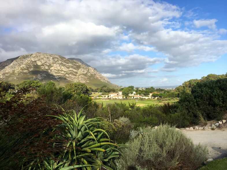 Golfplatz Hermanus Golf Club 3305