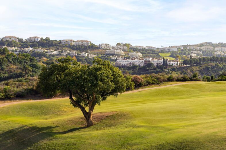 Golfplatz La Cala Europa 8785