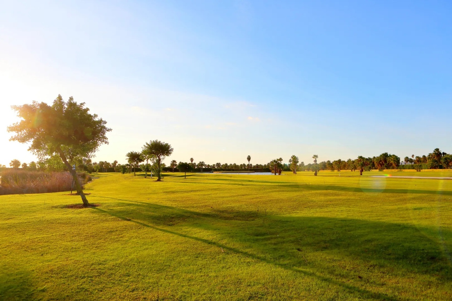 Golfplatzansicht