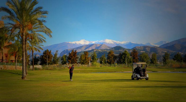 Golfer