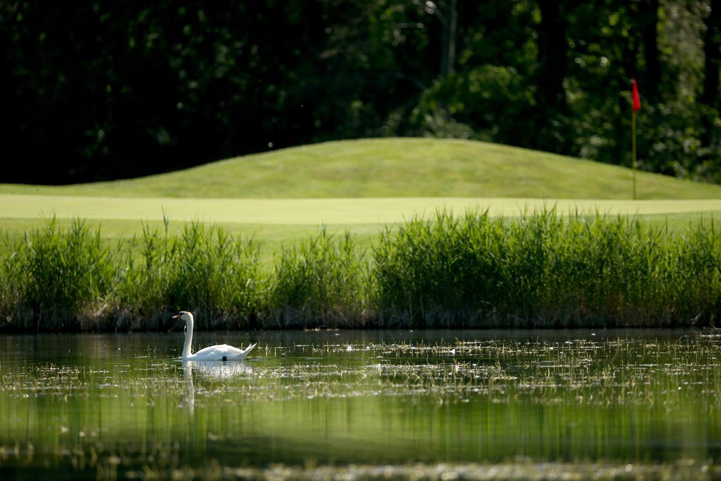 Golfplatz Golfclub Klagenfurt- Seltenheim 5873