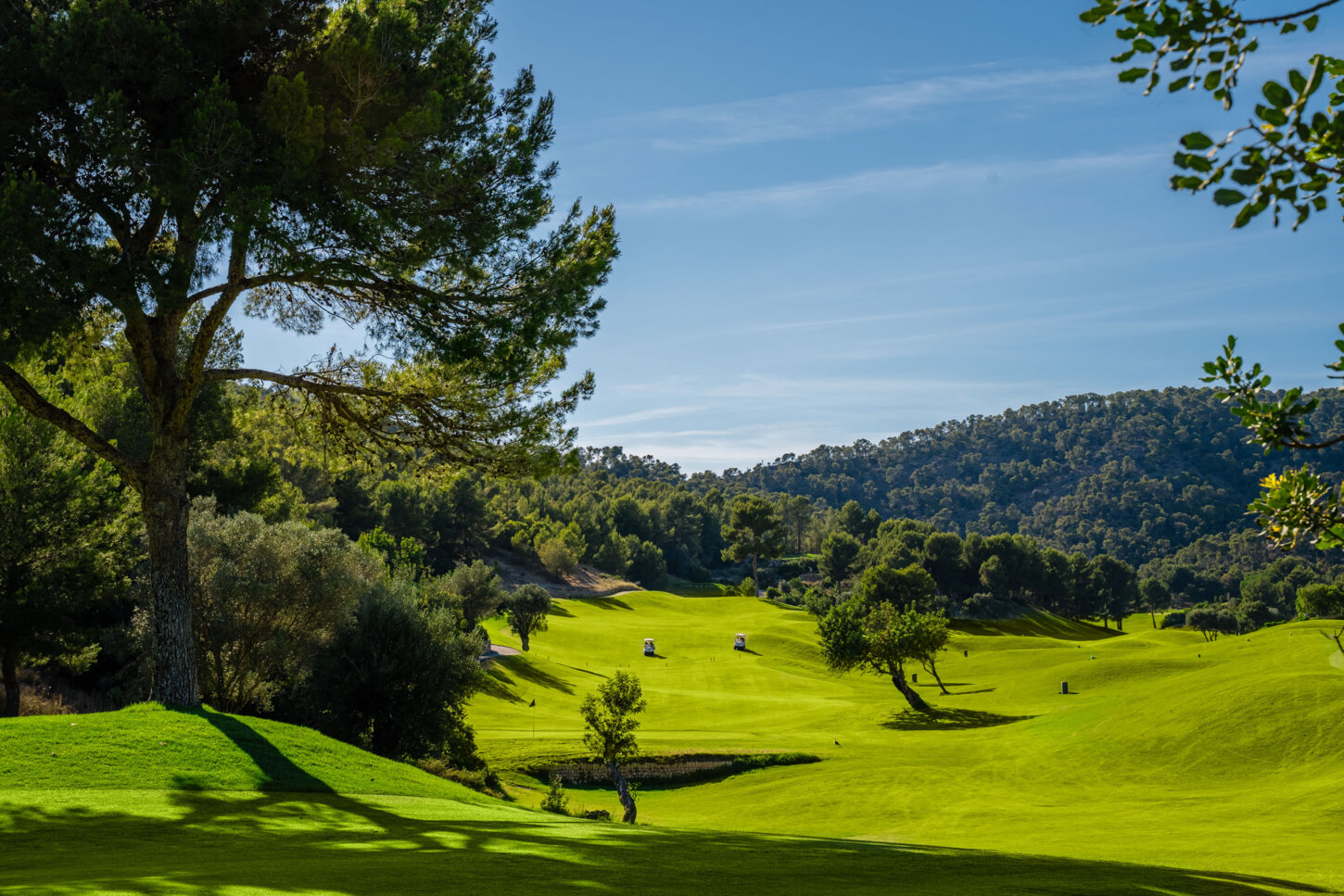 Golfplatz Golf de Andratx 10019