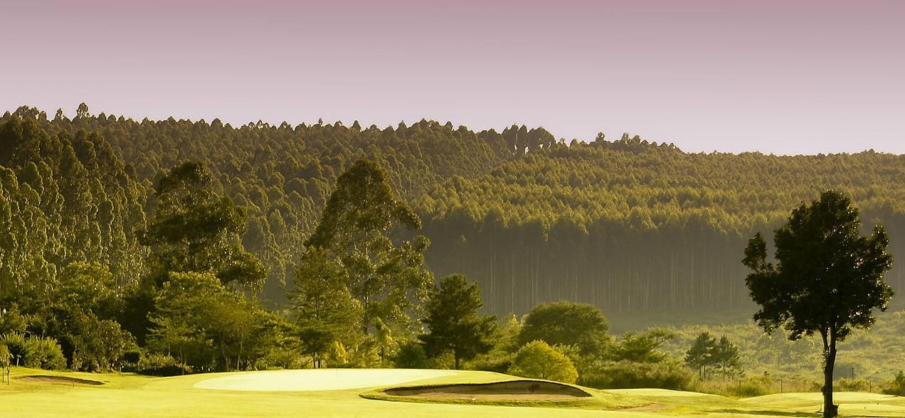 Golfplatz White River Country Club 7398
