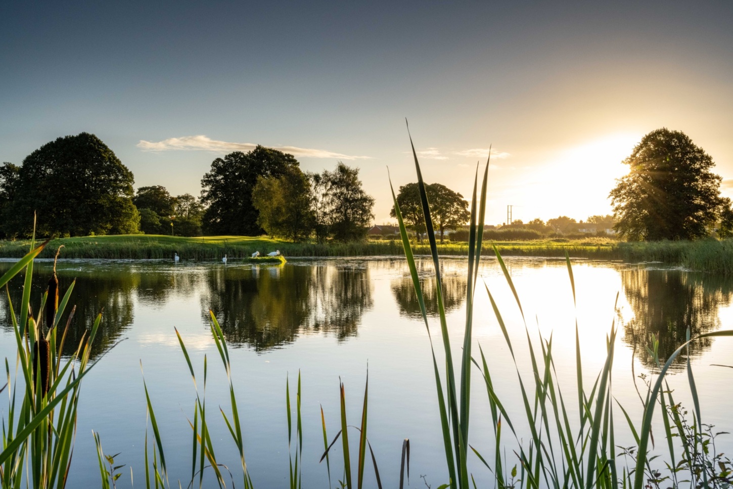 Golfplatz
