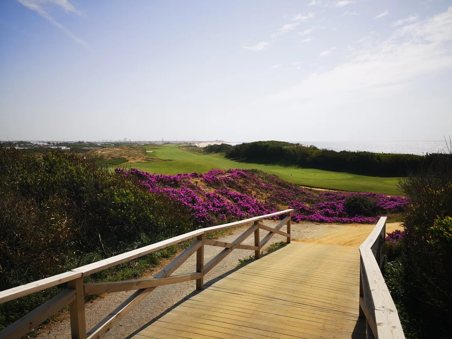 Golfplatz im Sommer
