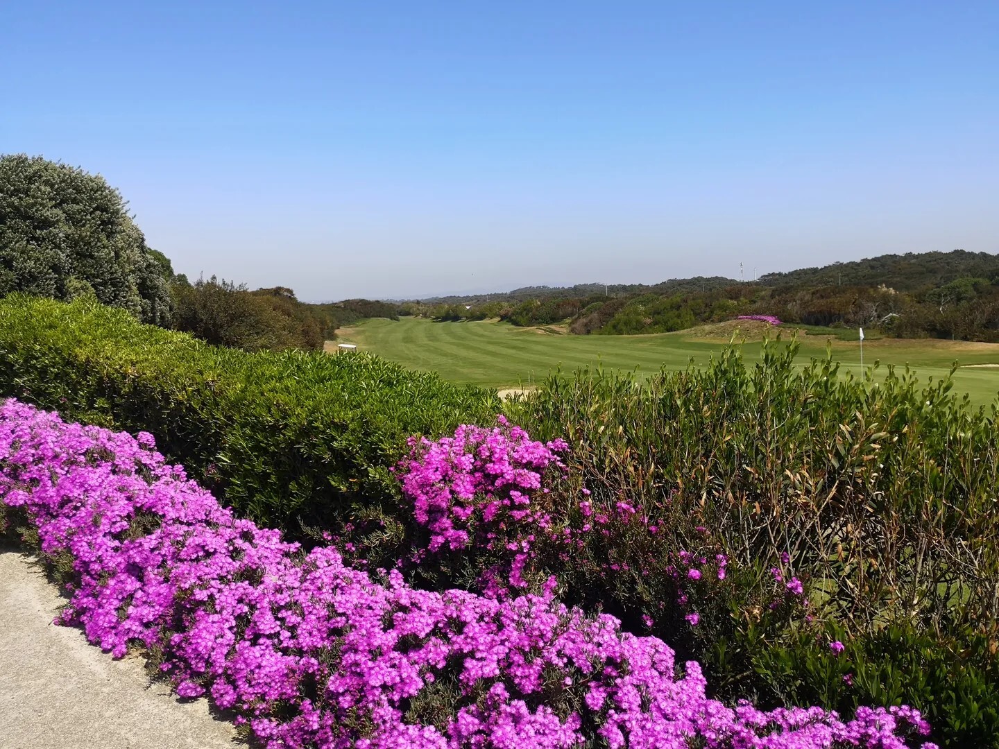 Golfplatz im Sommer