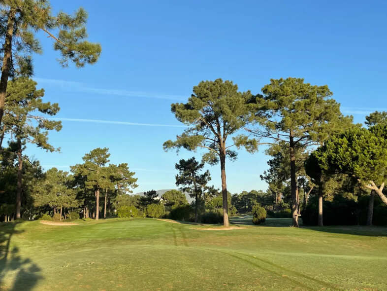 Golfplatzansicht