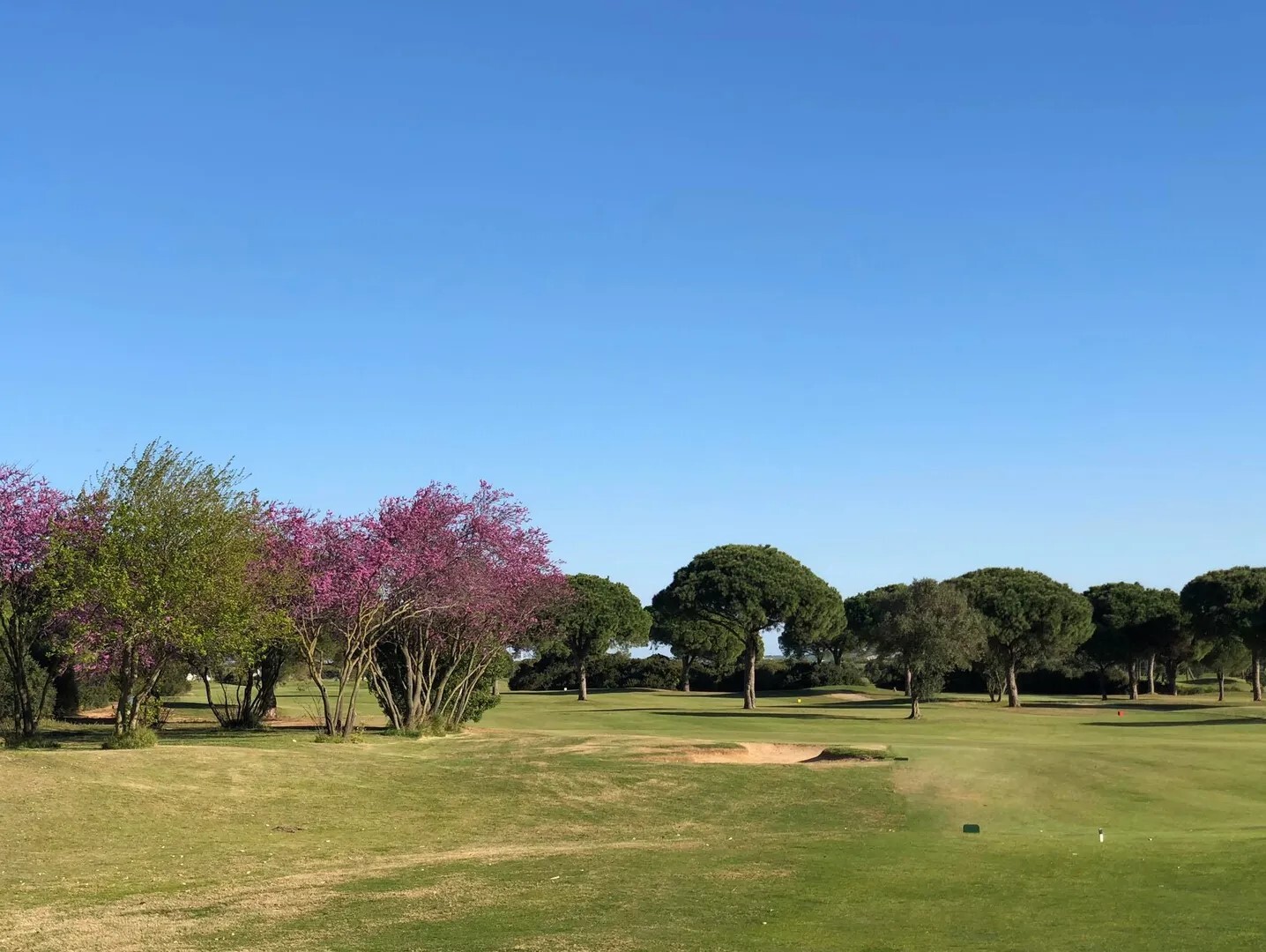 Golfplatzansicht