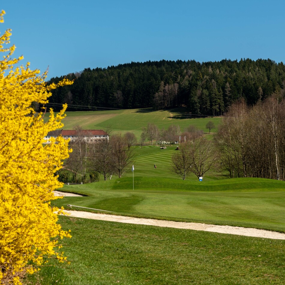 Golfplatz im Frühling