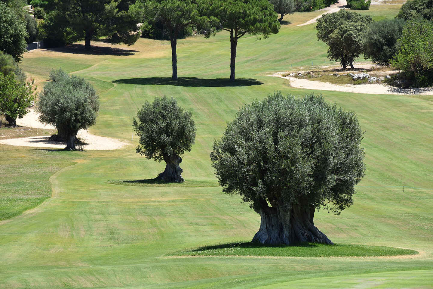 Golfplatz Ansicht