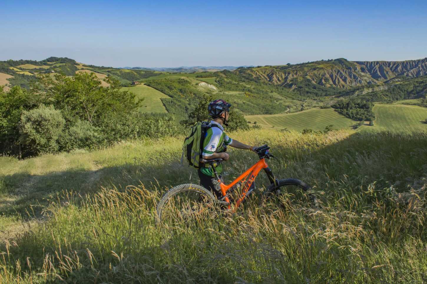 Mit dem Bike Olivenhaine und Weinberge entdecken