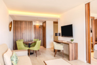 Penthouse Suite mit einem Schlafzimmer