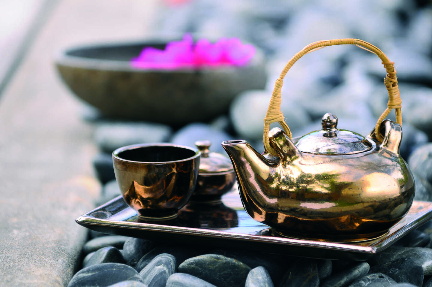 Wellness & Spa