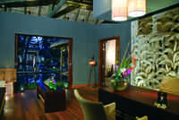 Wellness & Spa