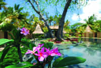 Wellness & Spa