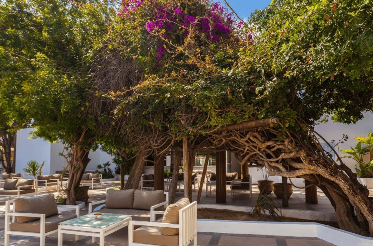 Hotel The Sindbad 48951